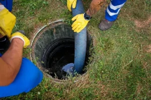Home Improvement and Drain Sewer Services: The Key to a Healthy and Efficient Home